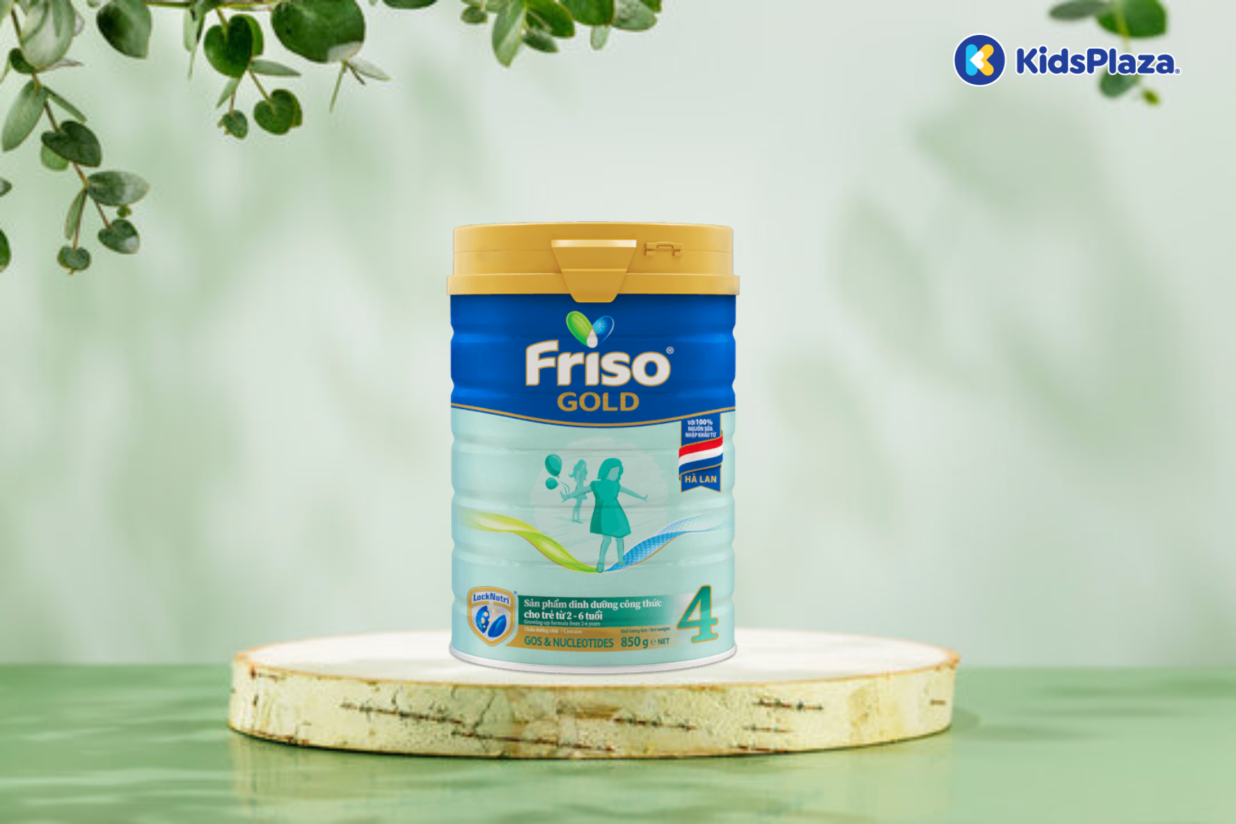 sua-friso-gold