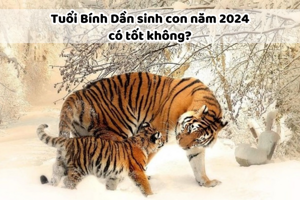 Tuổi Bính Dần Sinh Con Năm 2024 Có Hợp Không? Khám Phá Sự Hòa Hợp Và Lợi Ích