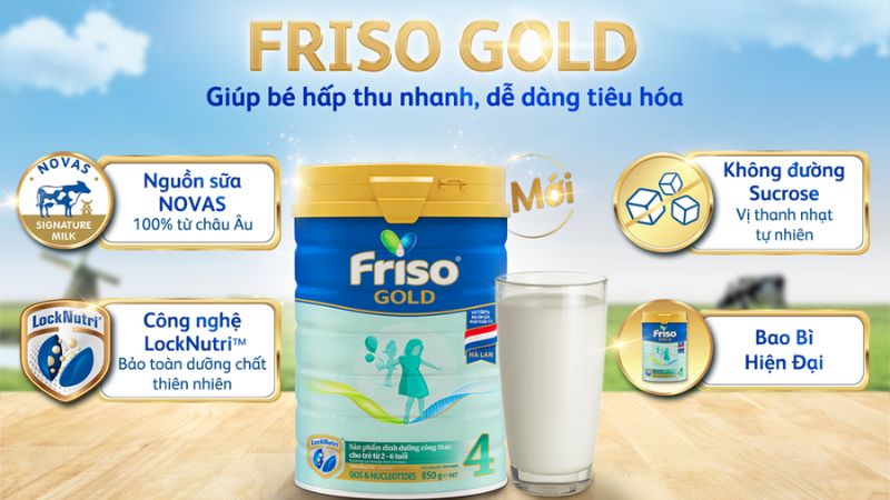 review-sua-frisolca-gold-4.jpg