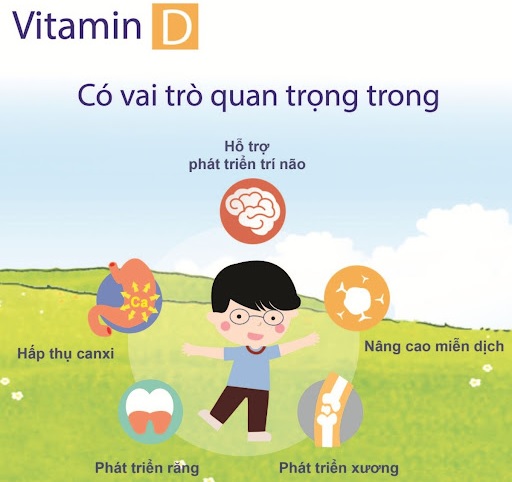 tác dụng của vitamin d3