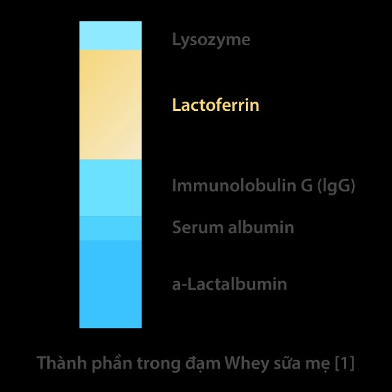 lactofferin-la-gi-1.jpg