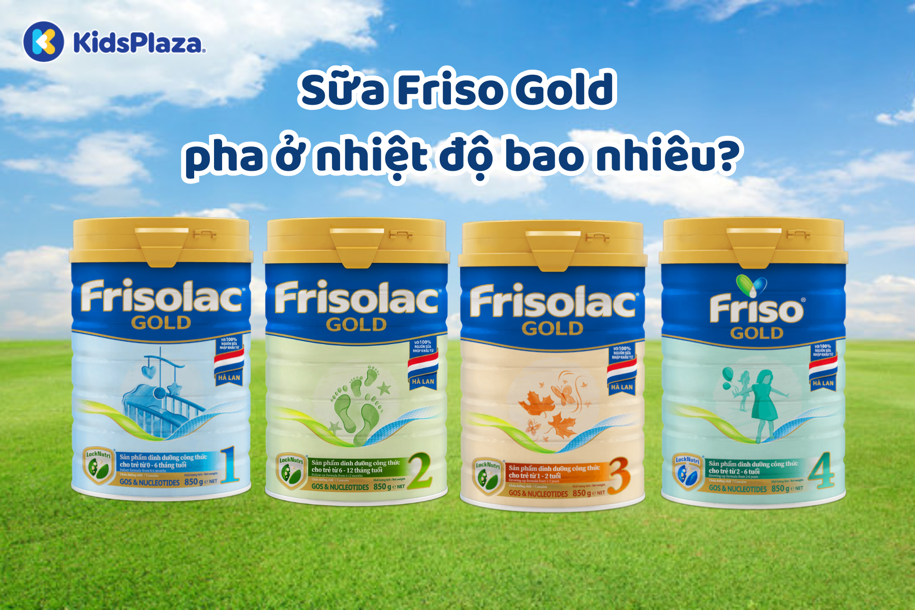 sua-friso-gold-1.png