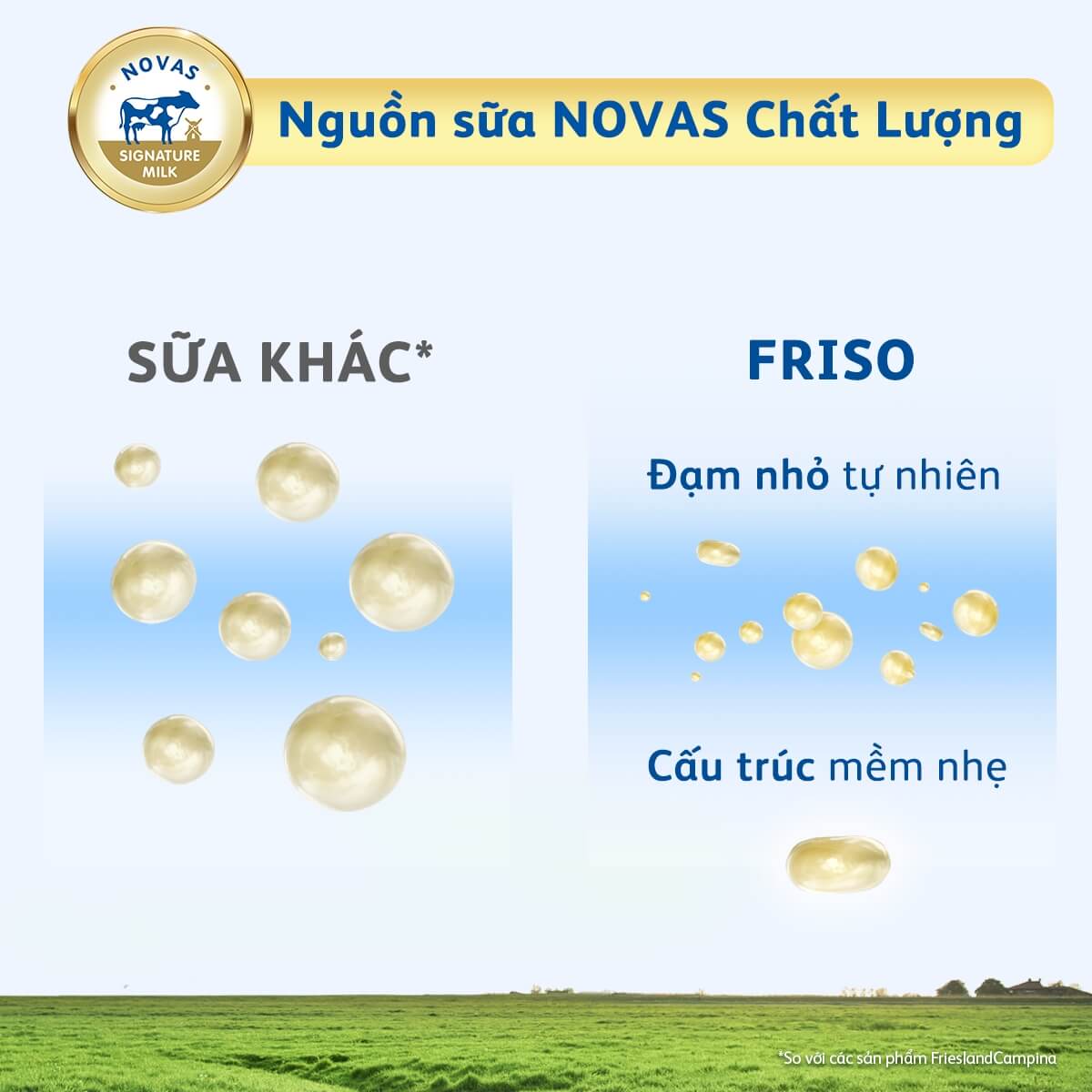 dam-friso-khac-voi-dam-thuong-cho-nao-1