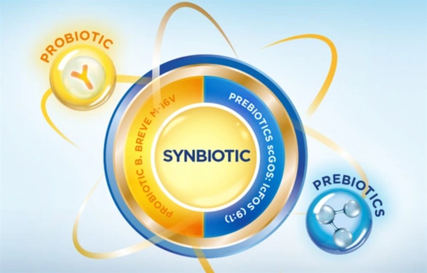 Synbiotic là gì