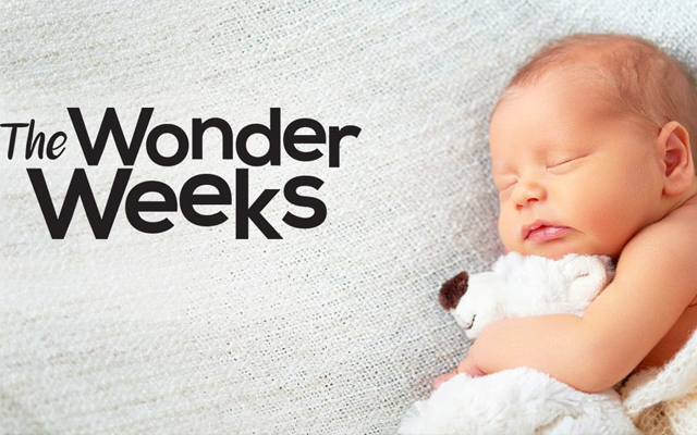 wonder-week-la-giai-doan-danh-dau-su-phat-trien-manh-me-cua-tre-nho