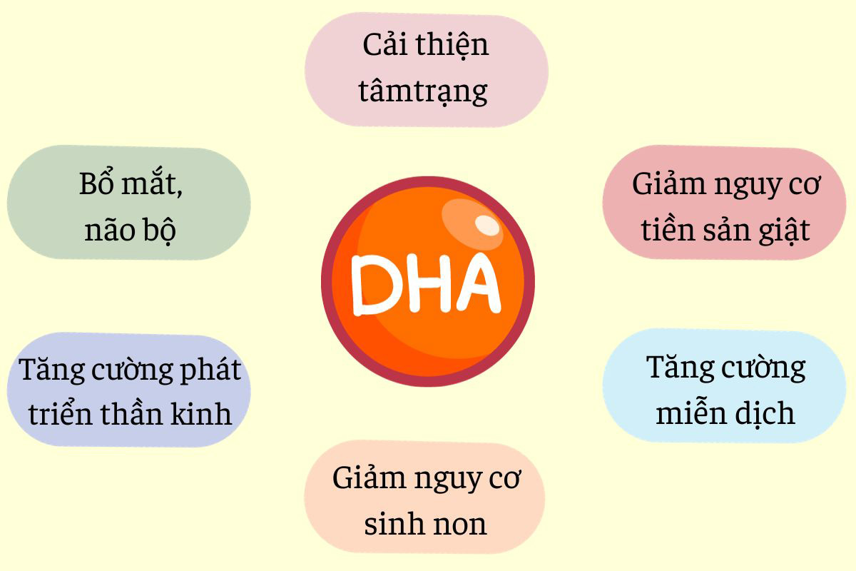 dha-cho-ba-bau-uong-khi-nao.jpg